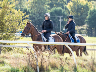 NH280922-13 - Blue Stello and Fable